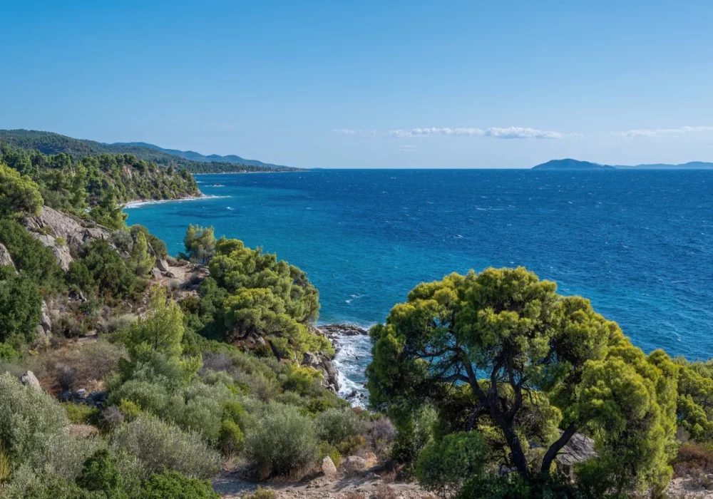 Cannes: Élégance Méditerranéenne aux 5 Plages Branchées