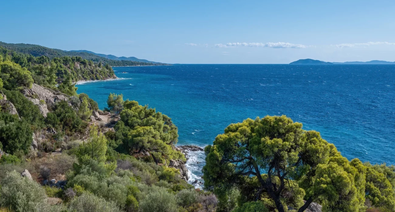 Cannes: Élégance Méditerranéenne aux 5 Plages Branchées