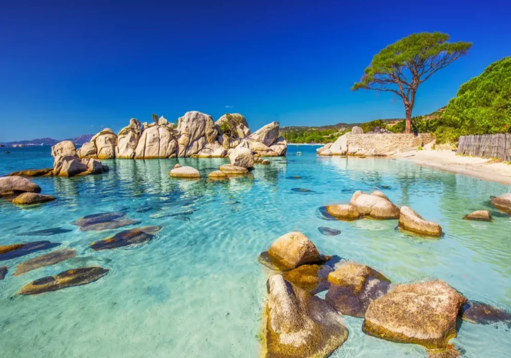 Plages d’Exception à Bastia: Explorez les Joyaux Corses !