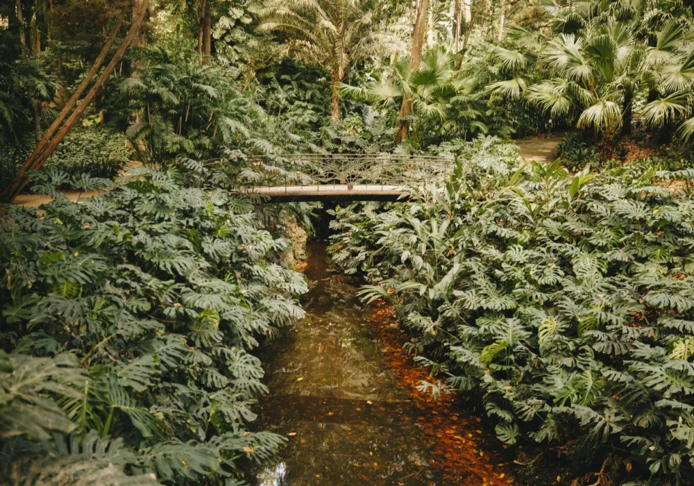 Découvrir le Parc Tropical Saint-Jacut-les-Pin : un voyage dans une beauté naturelle inoubliable