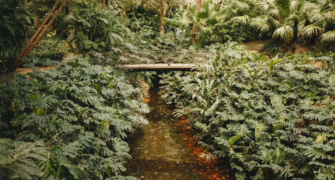 Découvrir le Parc Tropical Saint-Jacut-les-Pin : un voyage dans une beauté naturelle inoubliable