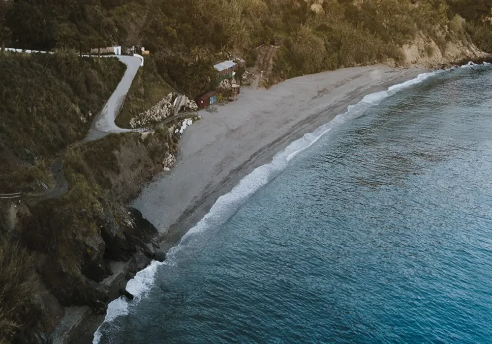 Attractions, sites, plages et monuments emblématiques : Découvrez Monterey, le Joyau de la Côte Californienne