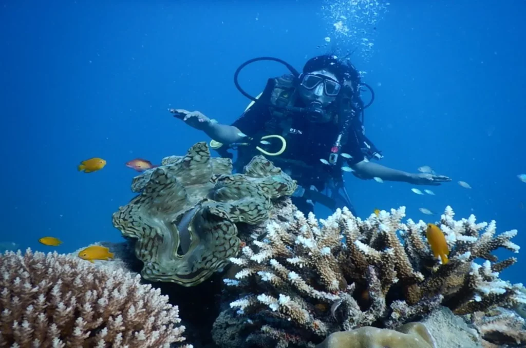 plongée sous marine